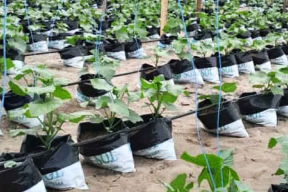 Respect de l'environnement